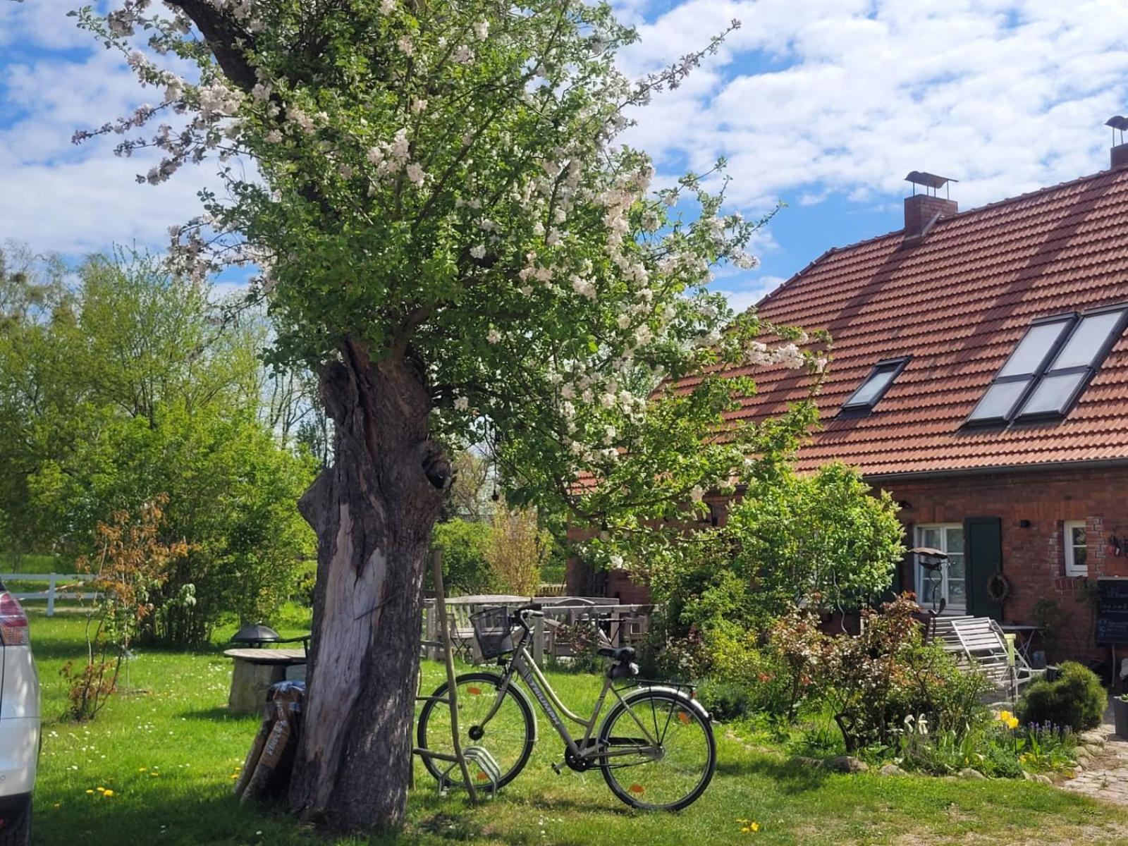 Seminar Und Landhaus Schoenbeck Schonbeck  Екстер'єр фото