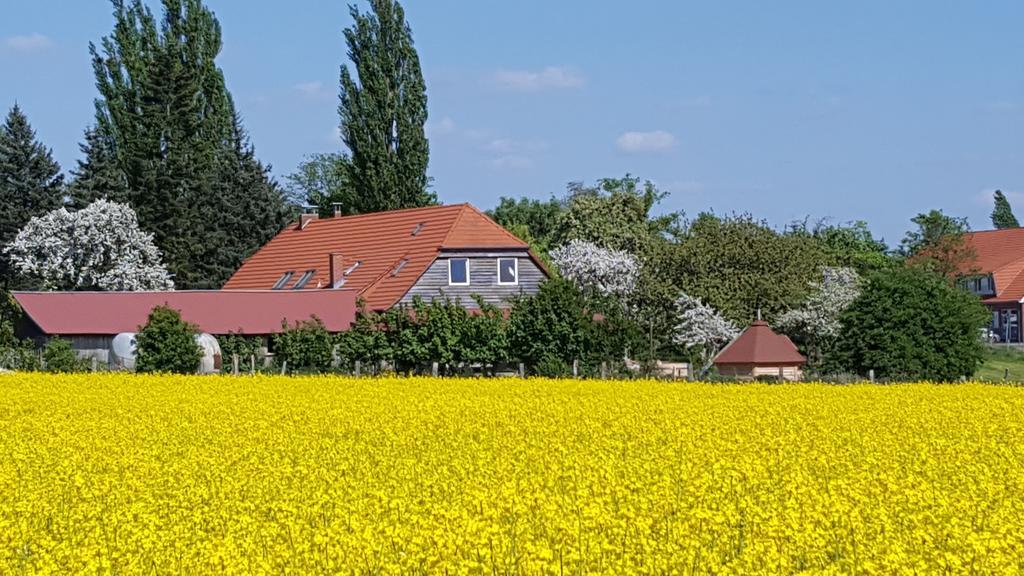 Seminar Und Landhaus Schoenbeck Schonbeck  Екстер'єр фото